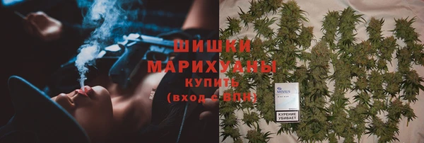 метадон Бикин