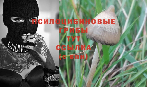 эйфоретик Каменск-Шахтинский