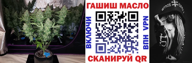 Купить  Заинск  ТГК THC oil 