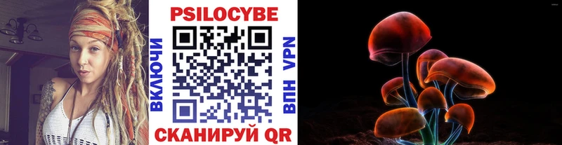 Купить  Заинск  Псилоцибиновые грибы GOLDEN TEACHER 